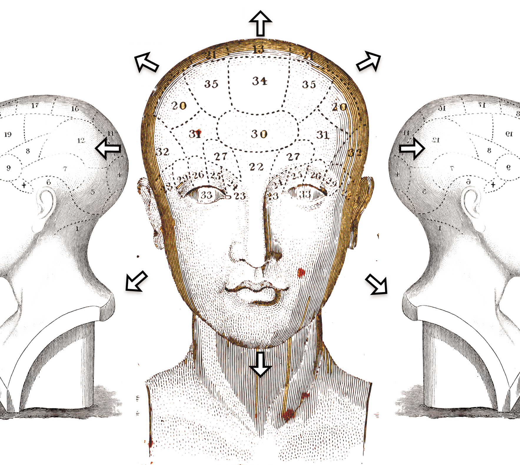 RLHF illustration with head and directional arrows