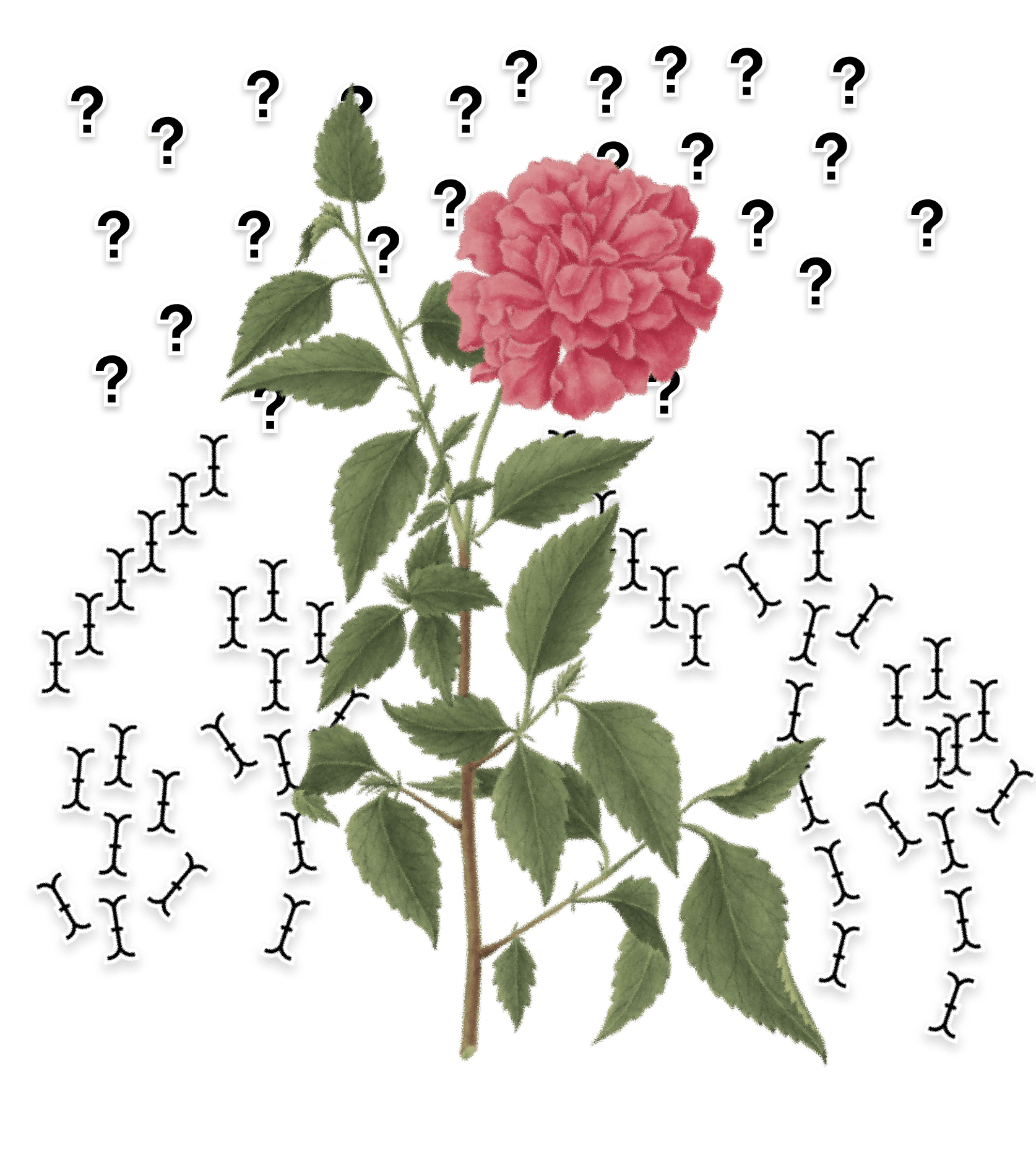 SFT Pairs illustration with flower and question marks