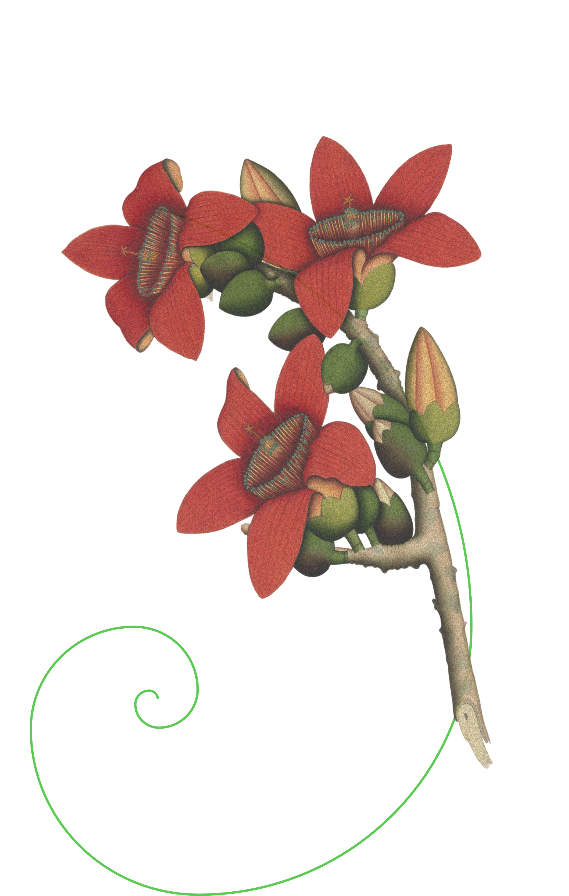 Research illustration with flowers and technology elements